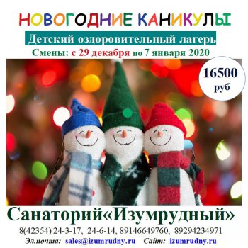 Новогодние каникулы!